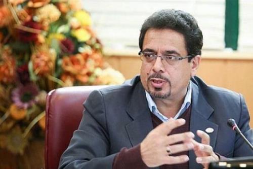 اختصاص بنزین به افراد به شرط عدم تغییر قیمت سیاست درستی است