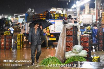 کشاورز می کارد دلال درو می کند