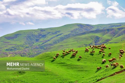 طرح تداوم، نقشه راه منابع طبیعی امسال