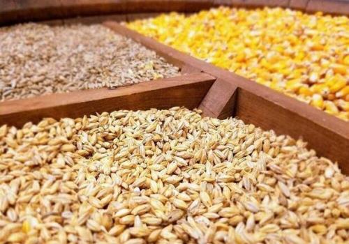آخرین وضعیت موجودی نهاده های دامی