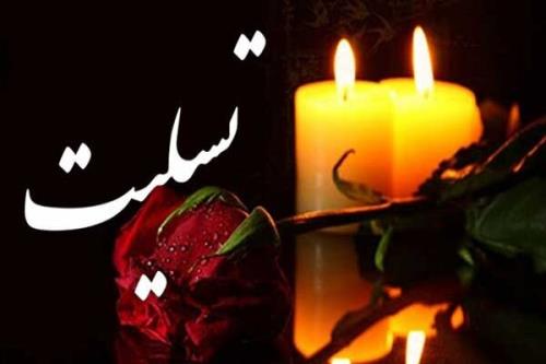 تسلیت نماینده ولی فقیه در بنیادمسکن به دنبال درگذشت آیت الله ناصری