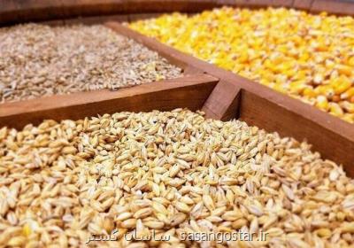 آخرین وضعیت موجودی نهاده های دامی