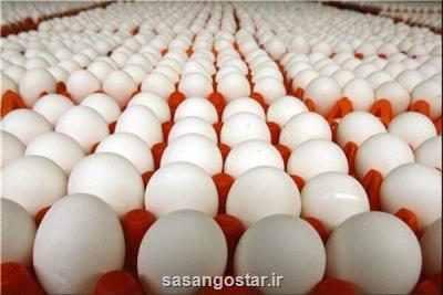 خرید تضمینی مازاد تخم مرغ توسط وزارت جهاد کشاورزی