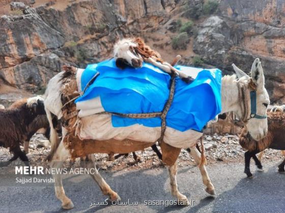 اعتبارات عشایر کشور ۲۰ درصد افزایش پیدا کرد