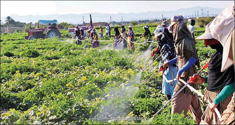 فرایند اجرایی استانداردهای الزامی ۳۰ آفت کش بررسی گردید
