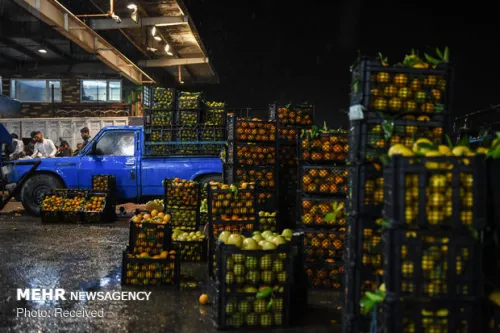 بازدید مدیرعامل سازمان تعاون روستایی ازوضعیت میوه شب یلدا در میدان بار