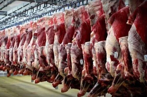 قیمت جدید دام زنده