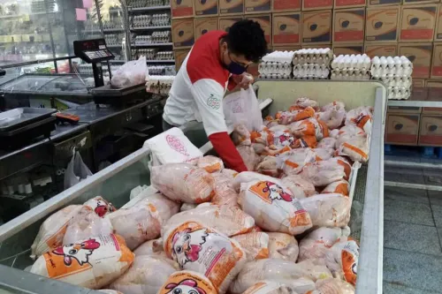 قیمت جدید گوشت مرغ امروز ۲۱ مرداد ۱۴۰۵