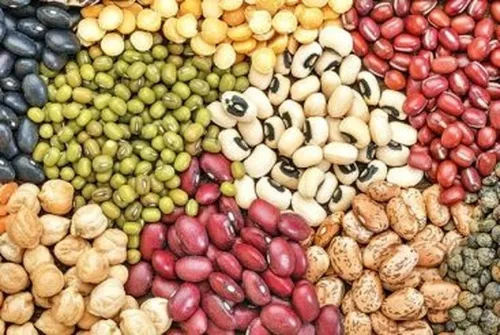 چراغ سبز به واردات حبوبات