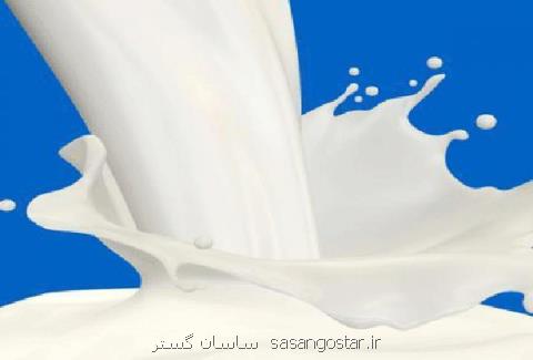 انجمن لبنی: ورودی شیر برخی كارخانجات لبنی ۵۰ درصد كاهش یافته است