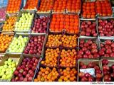 دخانیات دركنار میوه و خشكبار بیش ترین تورم را تجربه كردند