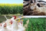 تمدید مهلت ثبت سفارش پرونده های وزارت كشاورزی