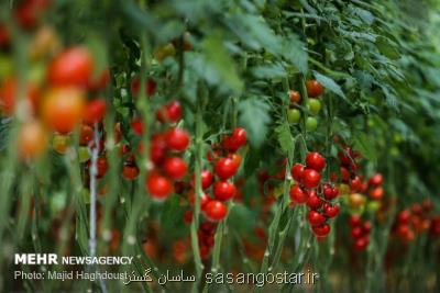 صرفه جویی ۴ میلیارد مترمكعبی منابع آبی كشور با توسعه گلخانه ها