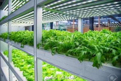 ابلاغ ۷۷۷ میلیارد ریال اعتبار برای شهرك های كشاورزی