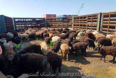 پرداخت ۲۰۰ میلیون ریال وام برای بازسازی اماكن دامی