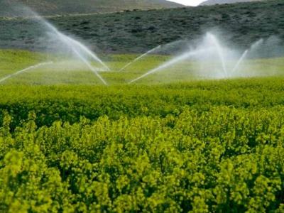 تدوین طرح تعیین میزان مصرف آب كشاورزی