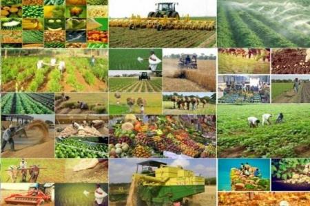 پرداخت 15 و هفت دهم هزار میلیارد ریال غرامت به خسارت دیدگان بخش كشاورزی